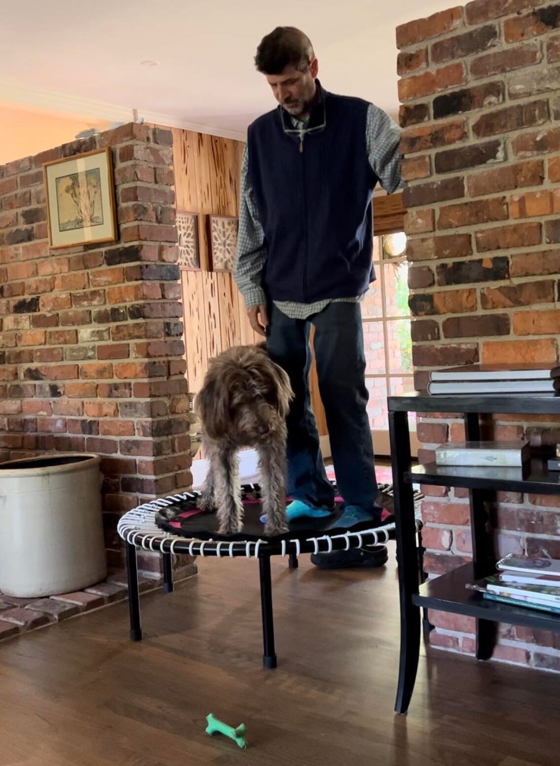 Neill Ferrill and his dog doing rebounding exercise on a mini trampoline during brain tumor treatment