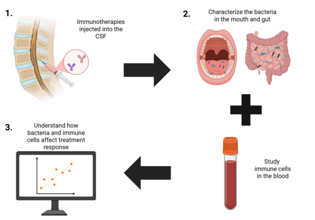 A diagram characterizing immune cells in the CSF and blood, including bacteria in the mouth and gut